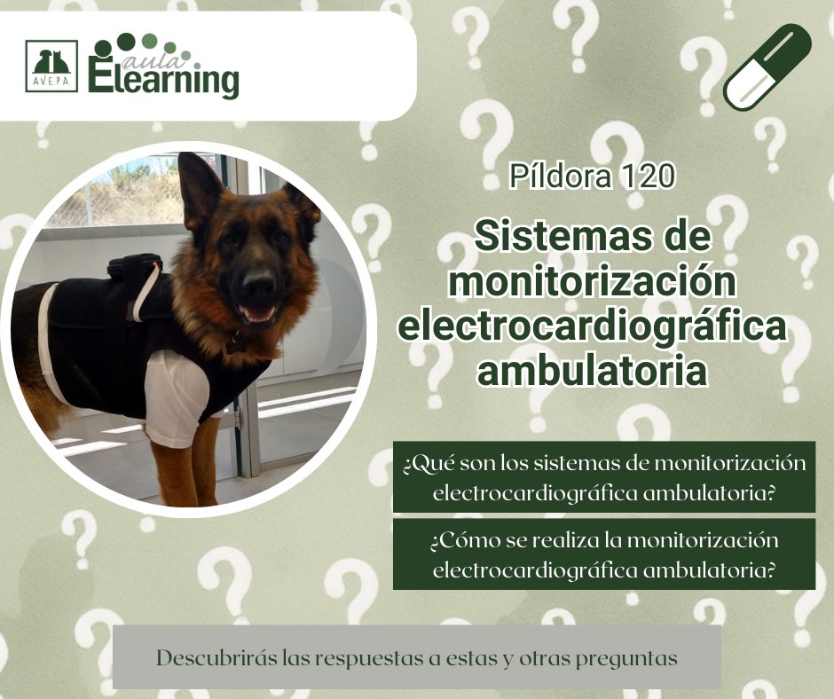 ✨ ¡Nueva unidad disponible! ✨

Explora una nueva 💊 píldora de conocimiento sobre monitorización electrocardiográfica ambulatoria: qué es, cómo se realiza, tipos de dispositivos, alternativas a los sistemas tradicionales e indicaciones.
🔗 formacion.avepaelearning.com/course/info.ph…