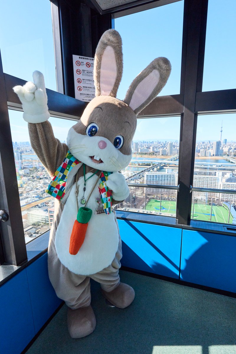 どんちゃん (@Donn_Chann) / Posts / X