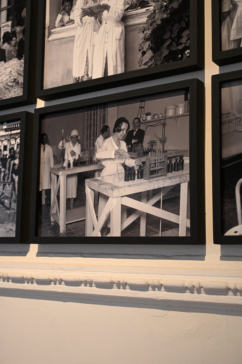 🔸 COLECCIÓN ANTONIO NOVELLO (CDA-UNC) | 𝘊𝘰𝘵𝘪𝘥𝘪𝘢𝘯𝘢𝘴

Visitá esta y las demás muestras hasta el 8 de marzo, de martes a domingo y feriados, de 10:00 a 19:00 h.

#MuseoPalacioDionisi