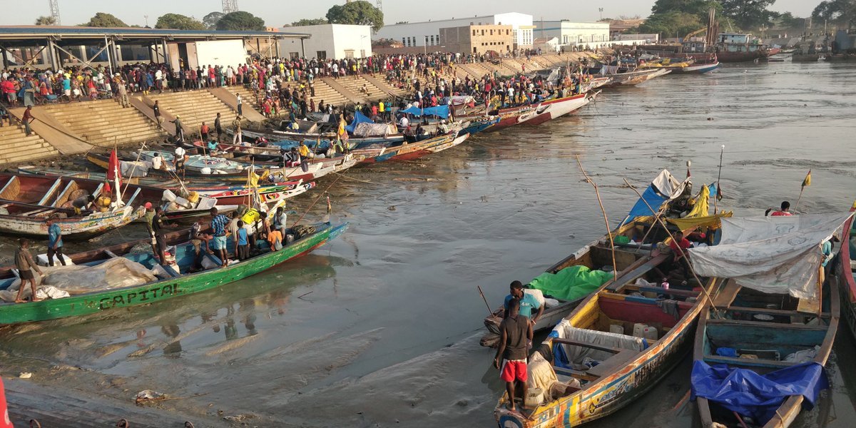 Guinea-Bissau takes a strong step by banning fishmeal and fish oil production on land and at sea. 

This courageous decision protects food security, jobs, &amp; marine ecosystems. 

We welcome and support this exemplary initiative.

#SustainableFisherie #OceanProtection #GuineaBissau