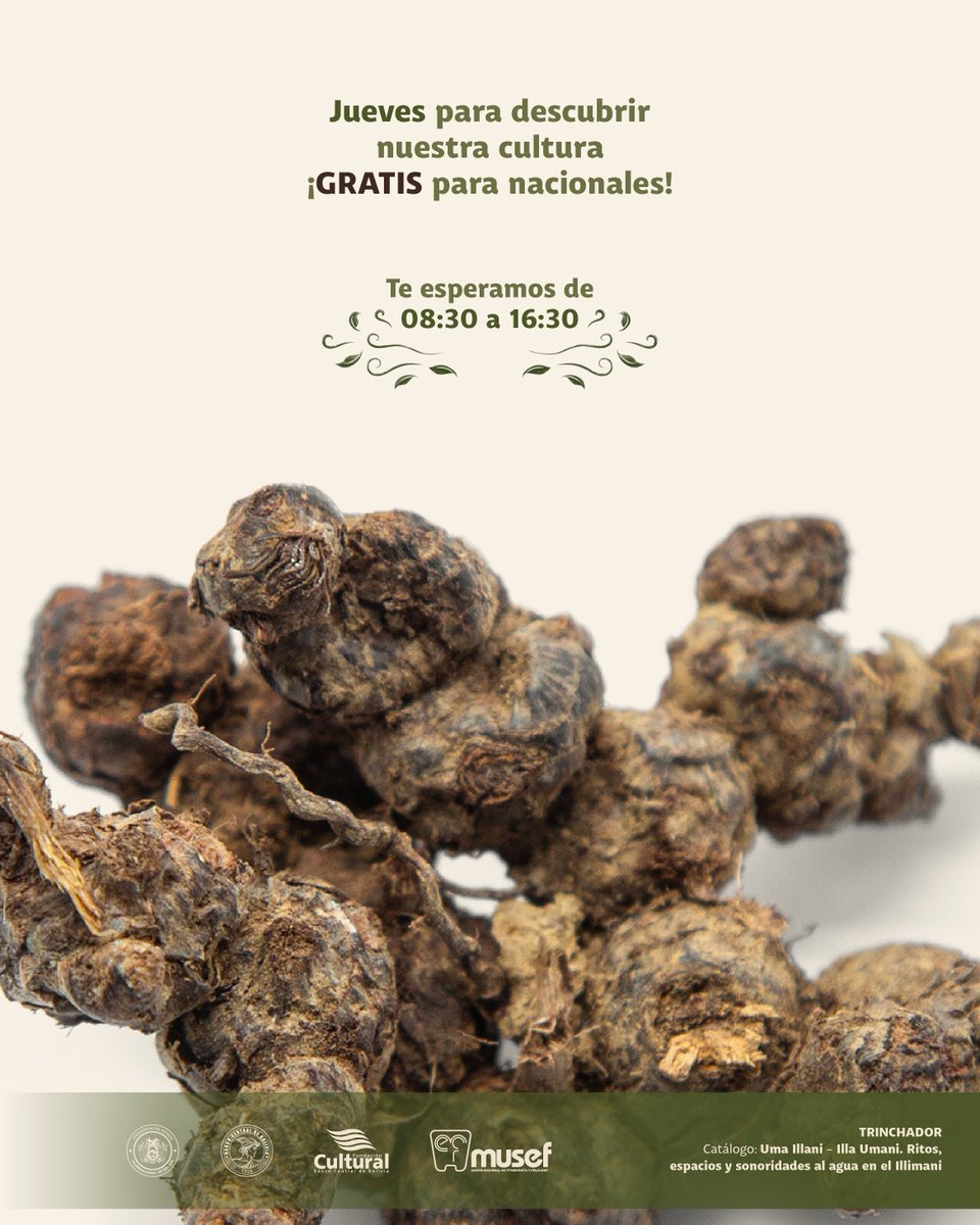 MusefLP's tweet photo. #DerechoCultural | Hace más de una década, el #MUSEF abre sus puertas de manera gratuita al público nacional porque creemos que el conocimiento y la memoria son un derecho compartido.

El museo también es tuyo.
Te esperamos.
#MUSEF #MuseosBolivia #CulturaBoliviana https://t.co/cTAoXvoeuY