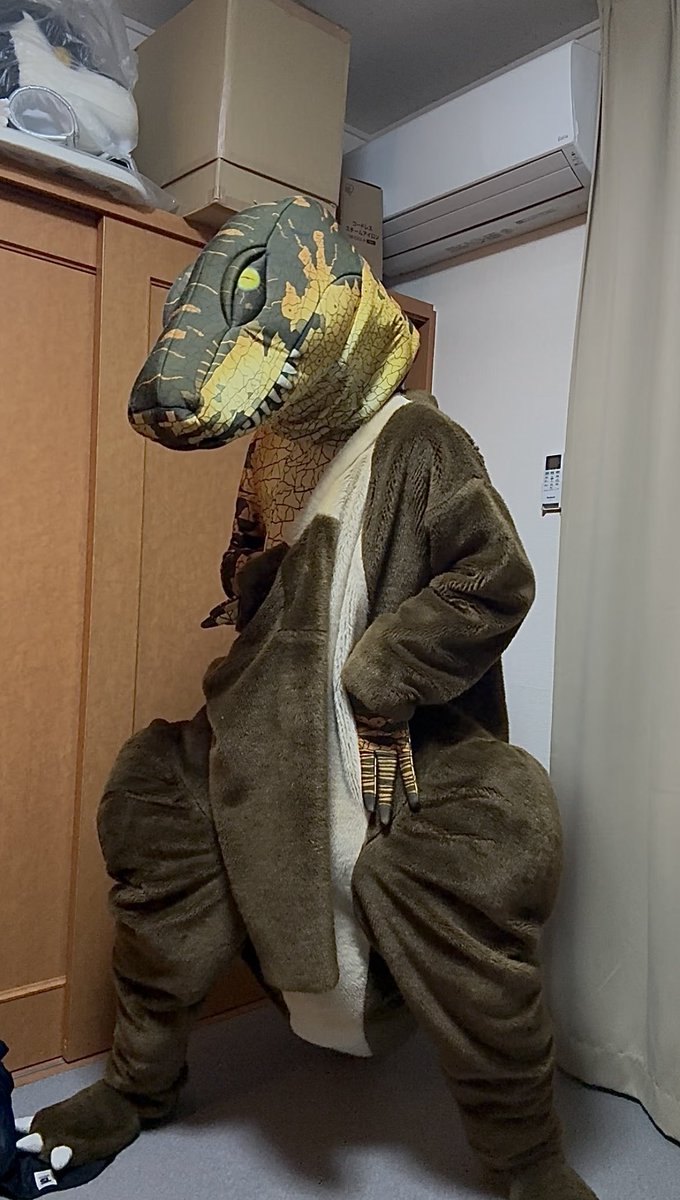 重ね着したい🦖🦖