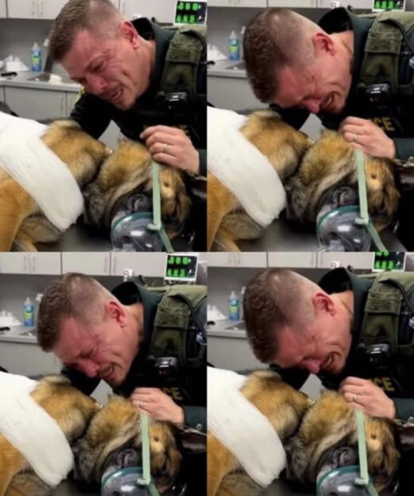 Mike Netter (@nettermike) on X