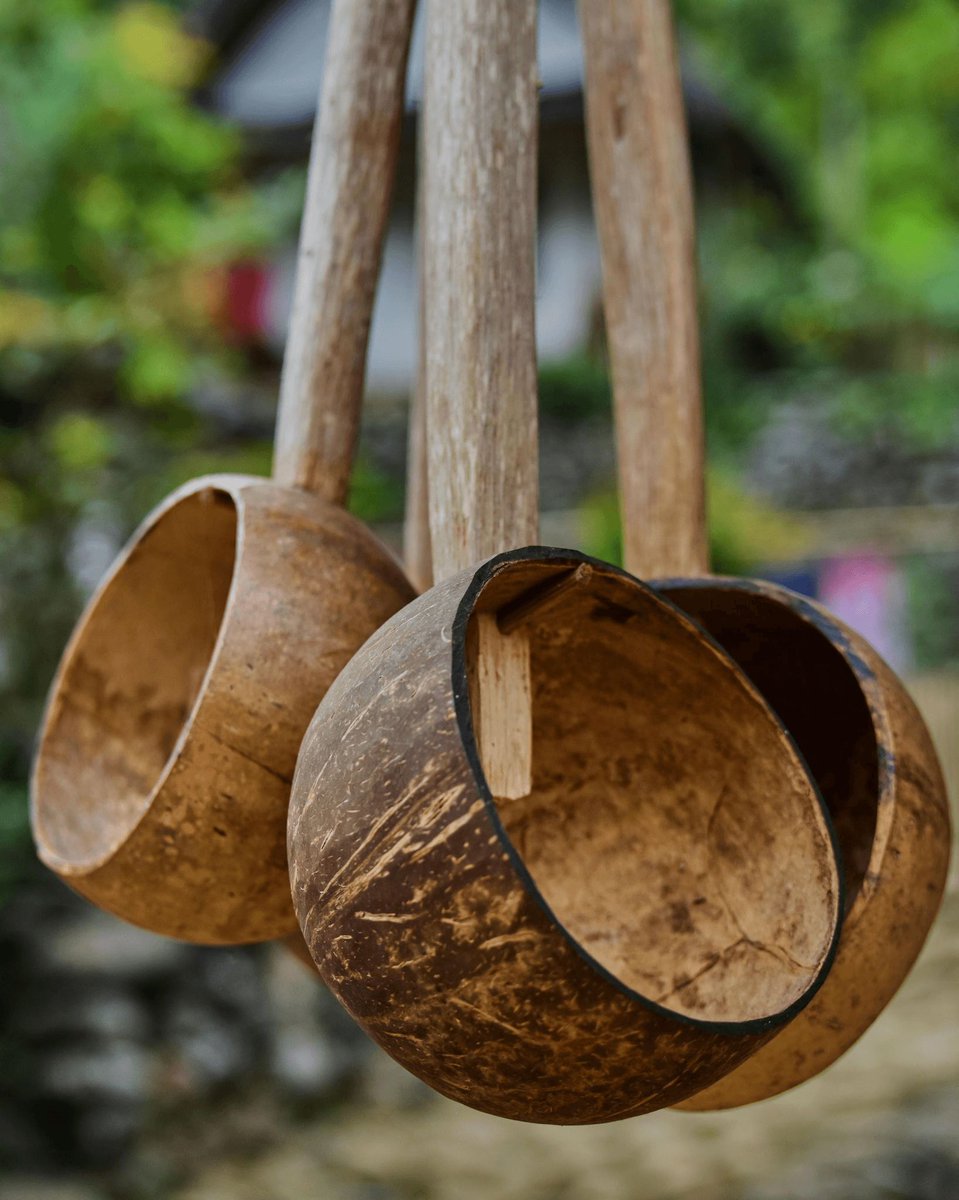 jrkitchenkraze's tweet image. Shop now for creative design and everyday use in your kitchen and dining space ✨🍽️
Discover pieces that blend function with style, making cooking, serving, and entertaining more inspiring.

jrkitchenkraze.shop 

#ShopNow #CreativeKitchen #KitchenDining #ModernDesign