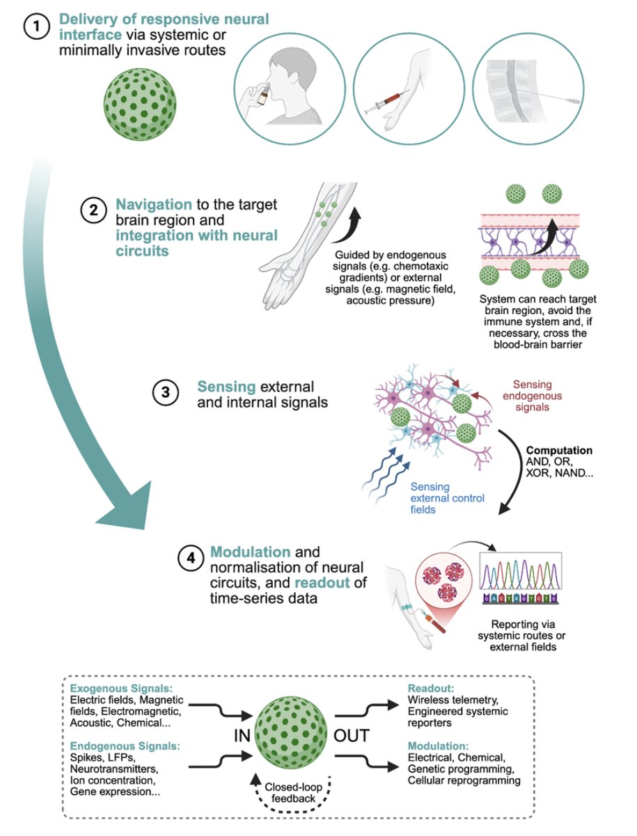 Jacques Carolan tweet media