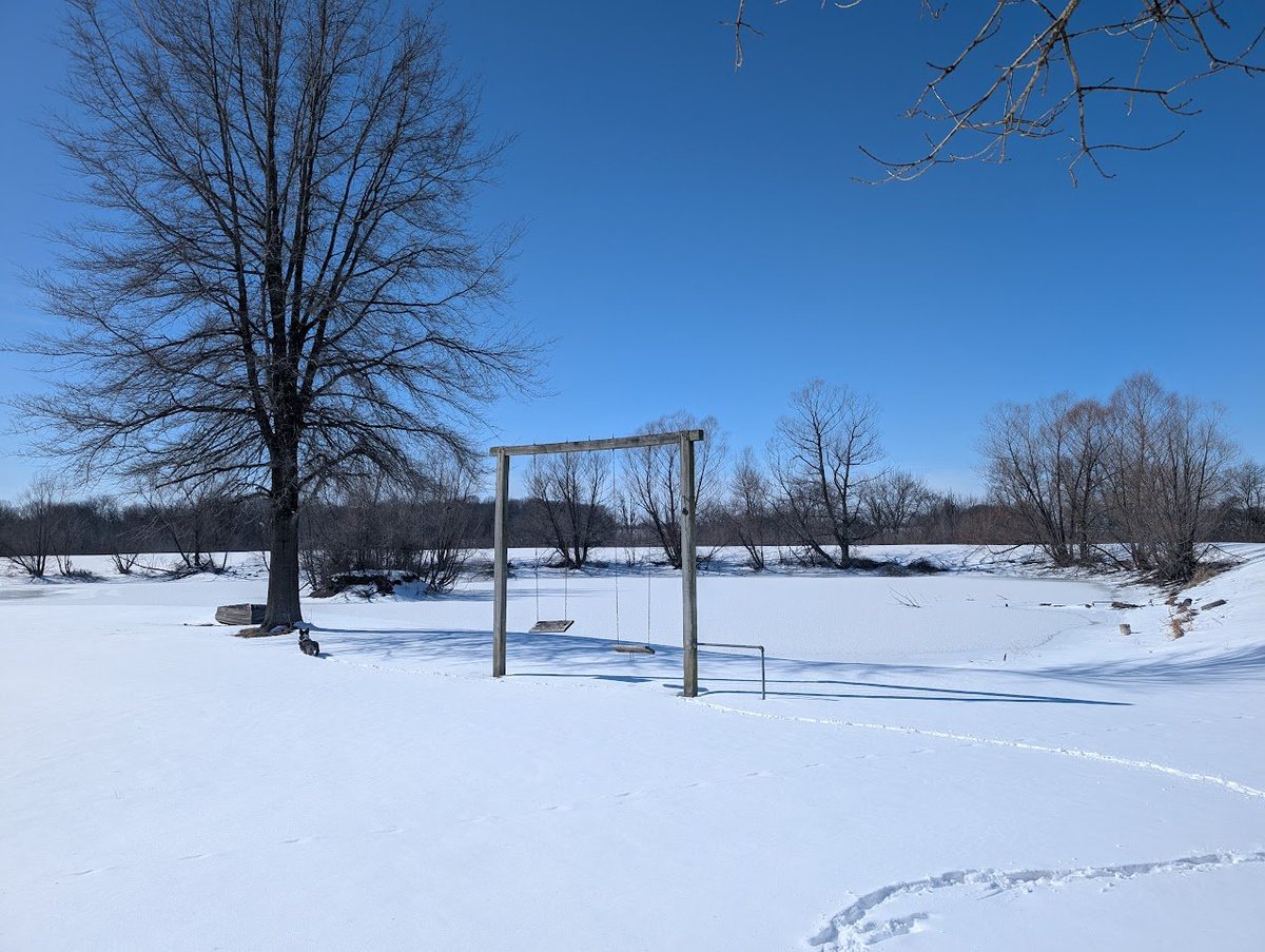 Devany Wilson tweet media