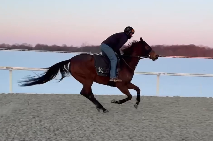 Pick4win's tweet photo. Our big girl back galloping... 😃
#Anoint🇺🇸 #KBRacing https://t.co/9SrOCKG7kV
