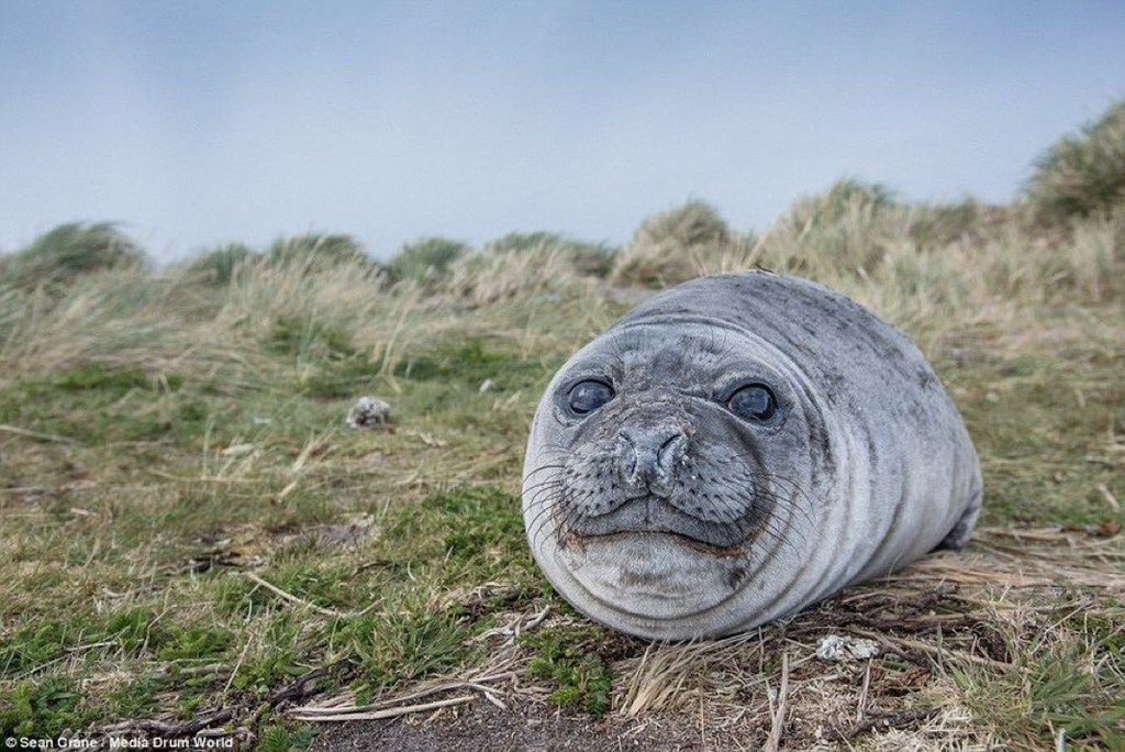 They are yet to tell you this