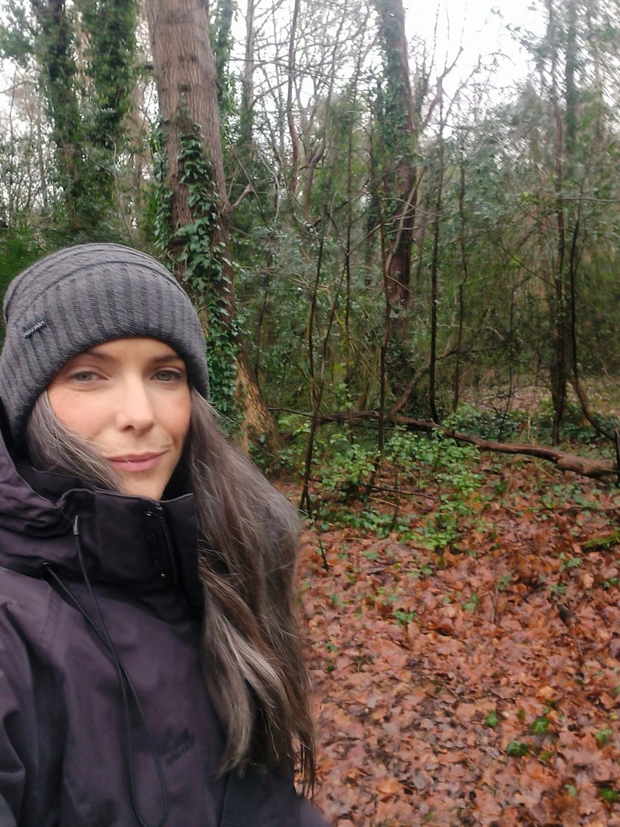 LadyGrace27's tweet image. Muddy paths, damp earth underfoot, and the cool scent of the woods—every step feels like a reset...🌿

#thursdayvibes #walkies #woods #trees #trails #nature #NatureLover