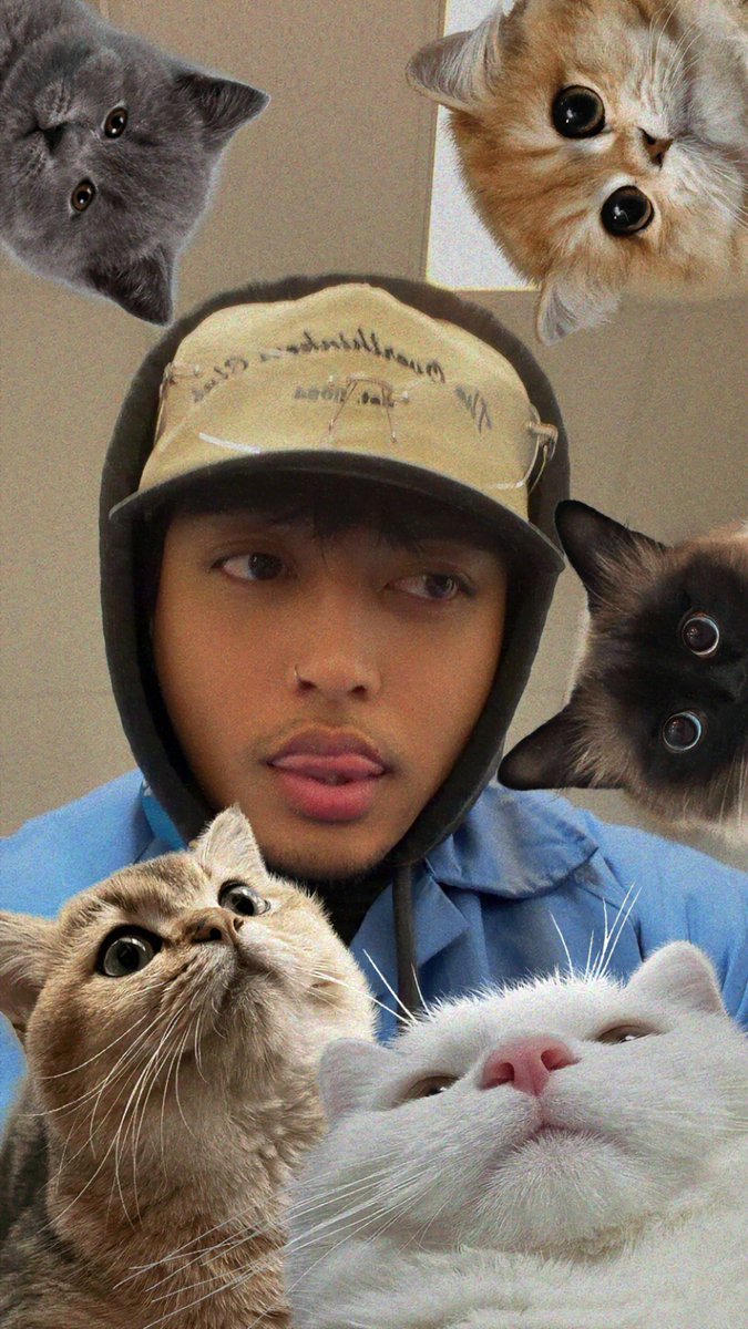 _trstnvc's tweet photo. send me pics of your cats pls, i need more cat stickers 😋😋 https://t.co/9QwdGuSsQk