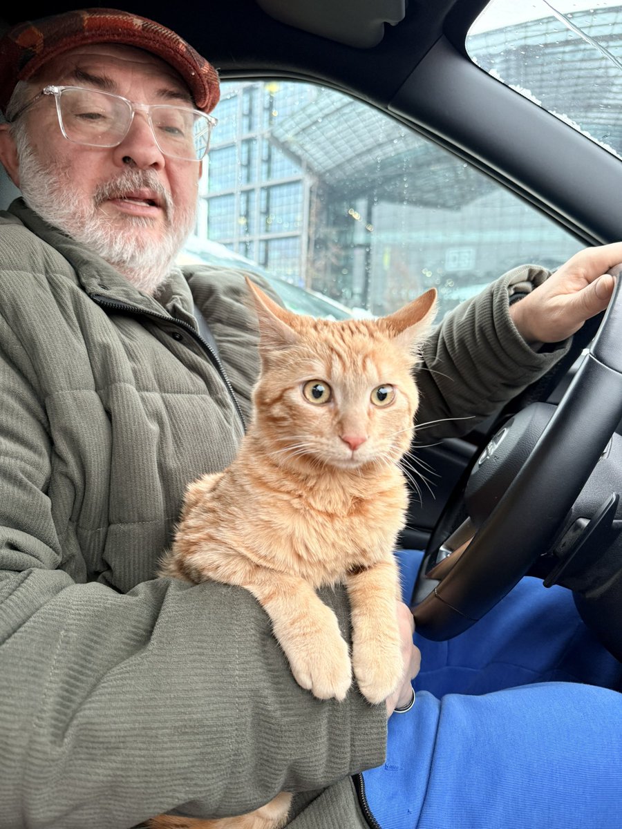 marat guelman tweet media