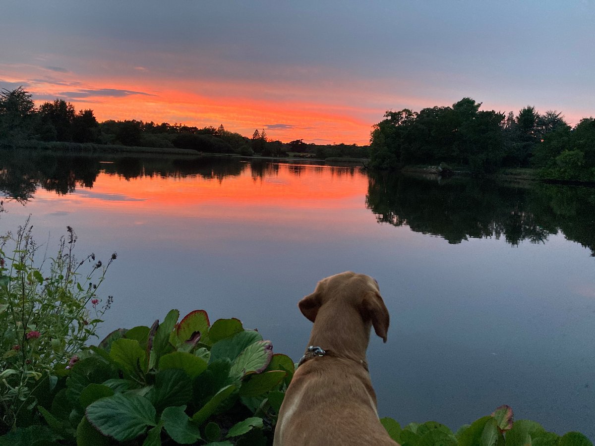 BeaulieuRiver's tweet photo. Four #favouritethings about #sailing on the #BeaulieuRiver:
ยท Stunning sunsets
ยท Wildlife are your neighbours
ยท Friendly catch-ups at The Boatyard Bar
ยท Escapism from everyday life!
Contact:
01590 616200
harbour.office@beaulieu.co.uk
https://t.co/OLDX7ml4BZ
#Mooring #Berth https://t.co/C9fMdw3Rhc