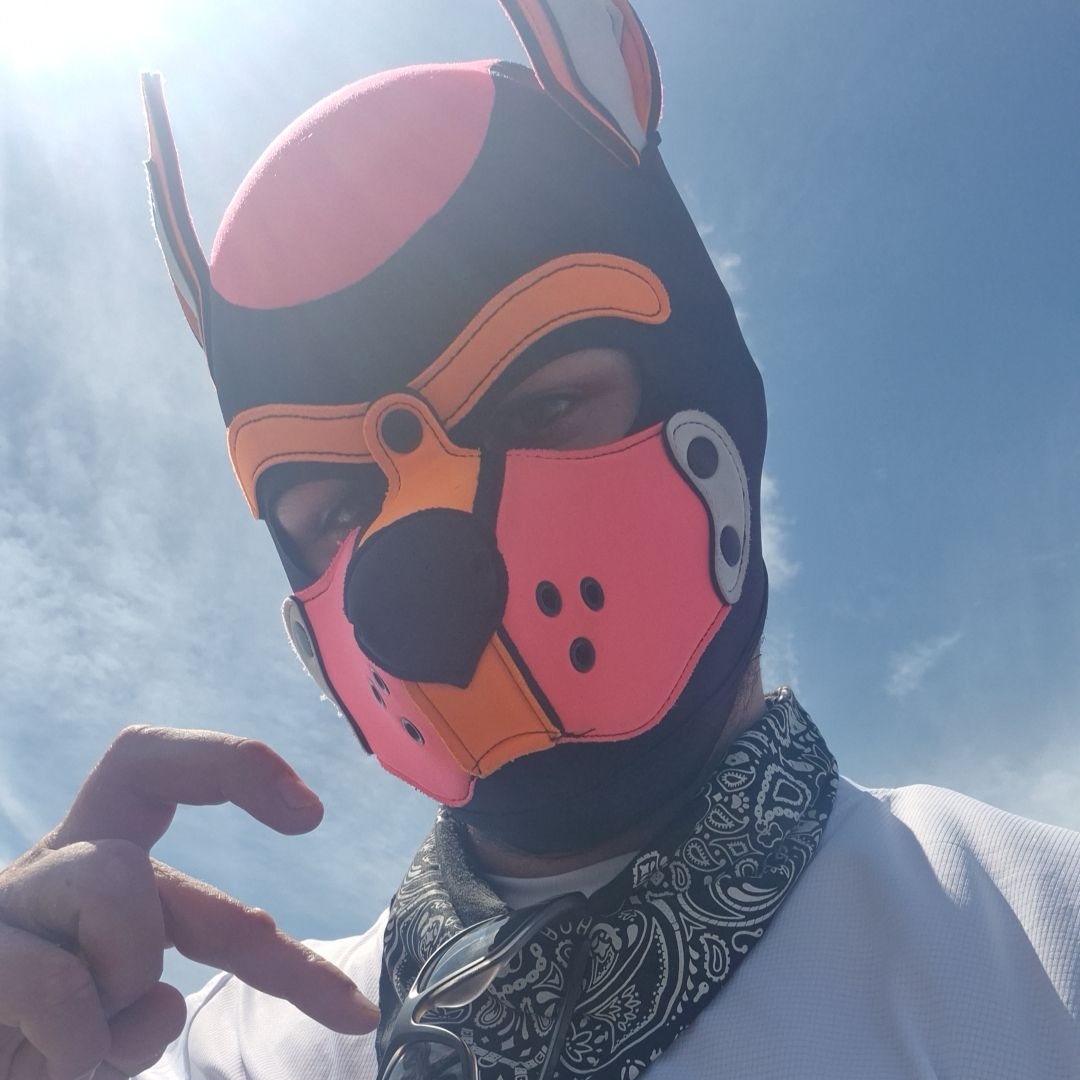 Hyper 🔜 Puppy UK elections tweet media