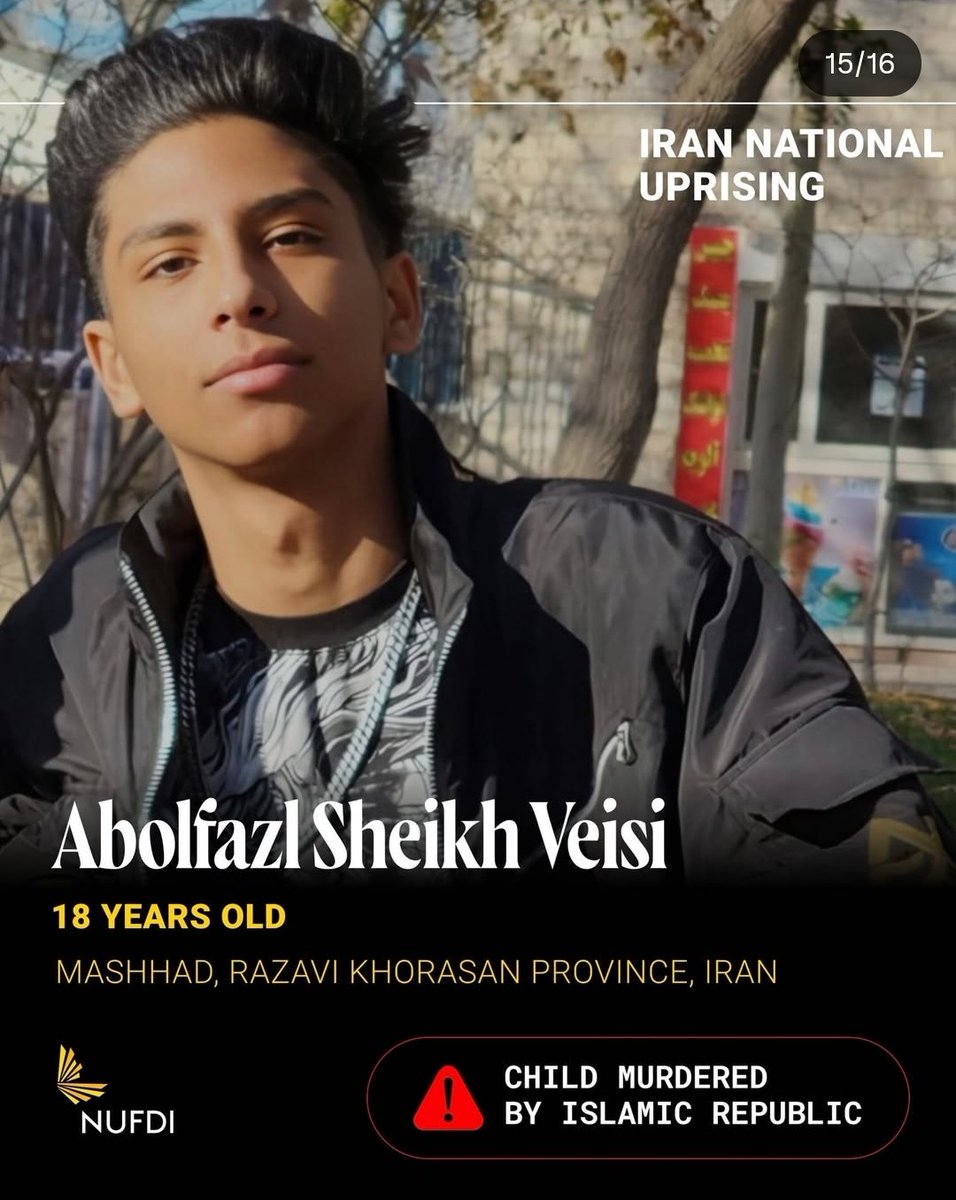 Iranian governments are killing their children. NADER MOLAVI, ABOLFAZL SHEIKH VEISI are my brothers and world's children. We missed you😭
#IranRevolution2026