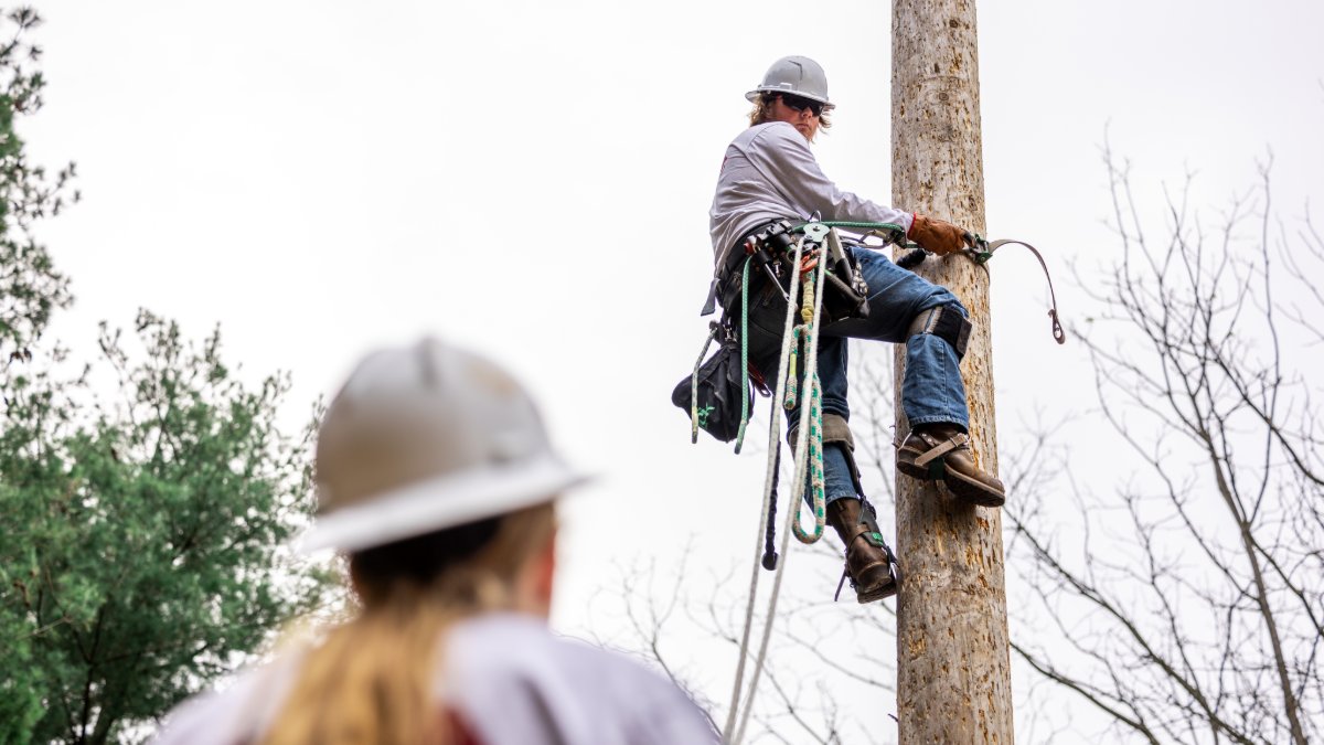 FastForward VA tweet media