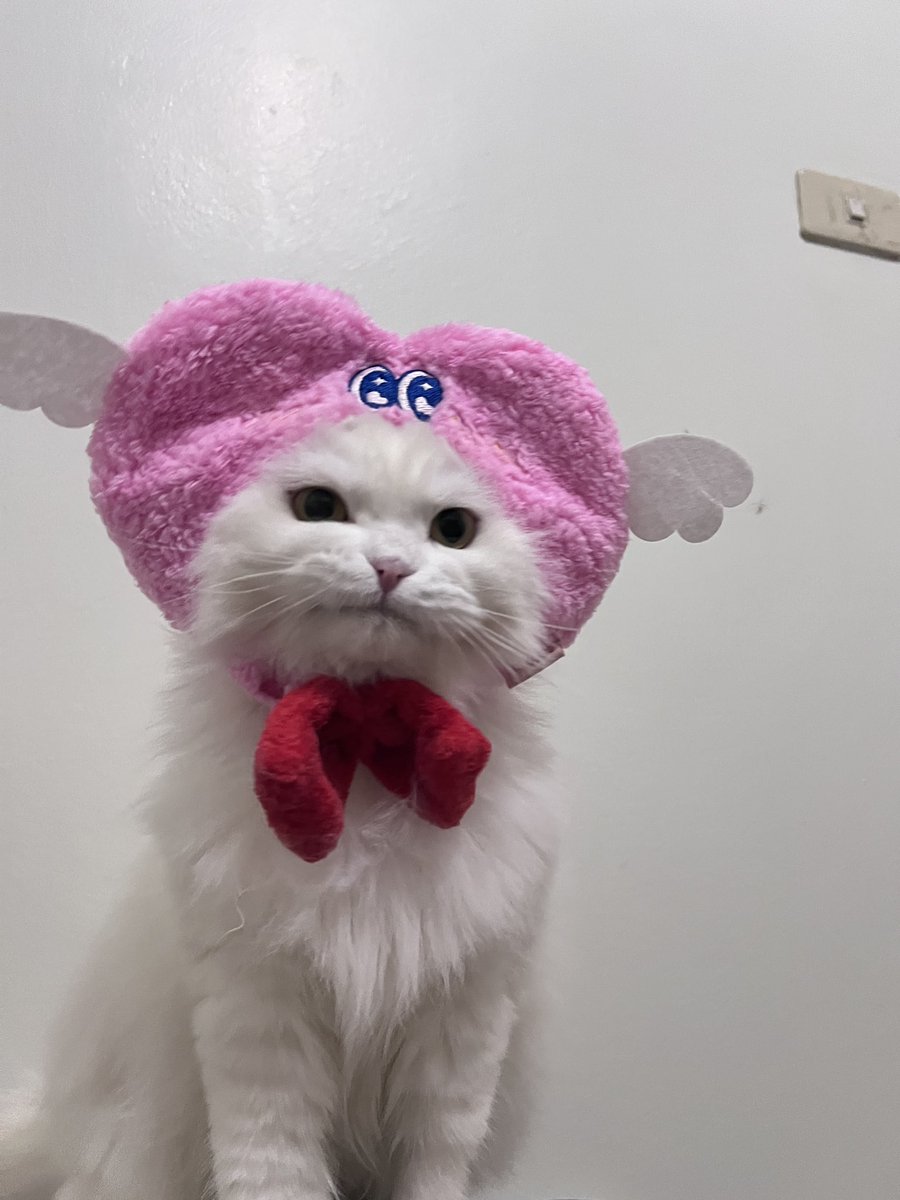 หวานใจก้อยากเป็น หวานเยนก็อยากกิม