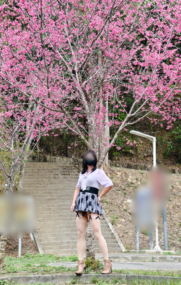 CD芯 18+ tweet media