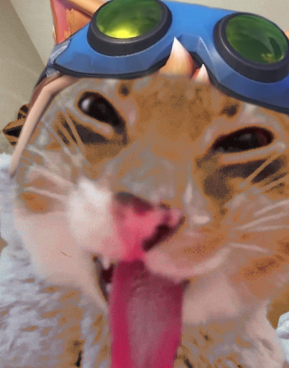 NyanSox 🏳️‍⚧️ tweet media