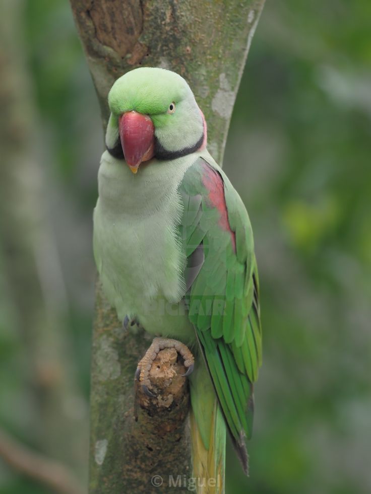 محبت وہ خوشبو ہے جو دل میں بس جاتی ہے ❤️
اور ہر یاد کو خوبصورت بنا جاتی ہے 🌙

Goodnight ^^~~^^~~^^💖💖