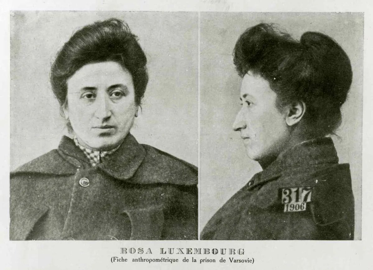 Este texto de Rosa Luxemburg, traducido por <a href="/volodia___/">Volodia</a> habla sobre la importancia que tiene la democracia interna para las organizaciones socialistas, y el peligro que representan las facciones burocráticas y su control a modo de camarilla:

open.substack.com/pub/volodia/p/…