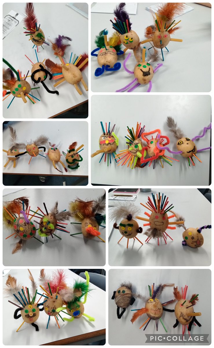 Wootton Park Primary tweet media