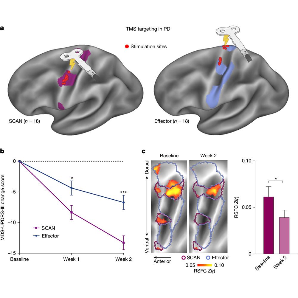 Nature Portfolio tweet media