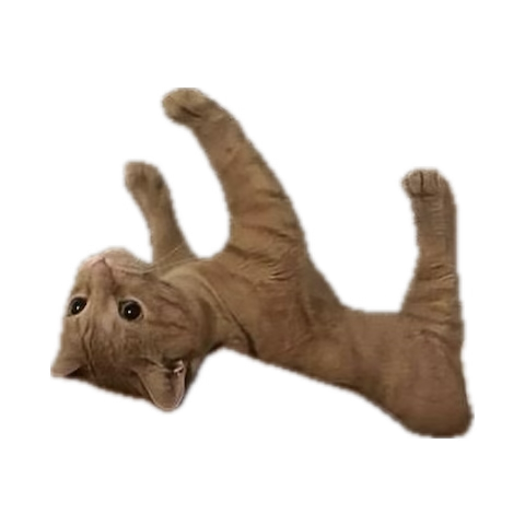 basically a frog tweet media