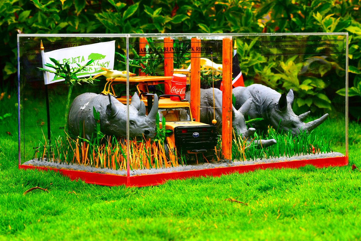 Artfamcdk's tweet photo. Owning our rhino artworks is more than decorating a home or office— it’s holding a heartbeat, a story of survival, and a promise to protect what still stands.
#artforsale #rhinosculptures #freeworldwideshipping🌏✈️📦 #dmfororder❤️ https://t.co/6EE3esoWdb