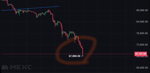 DOGCHAIN tweet media