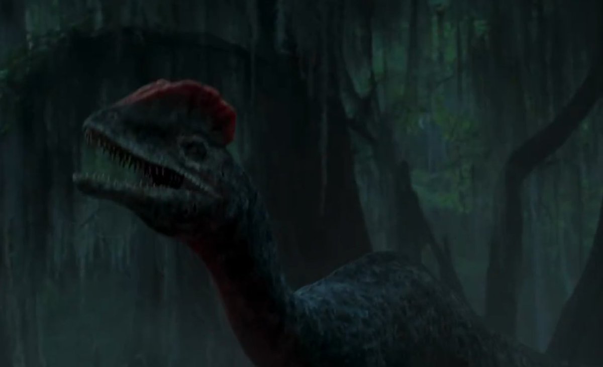 Paleo_Lazo (Lazo)🐊🐊🐊🐊🐊🐊🐊🐊🐊🐊🐊🐊🐊🐊 tweet media