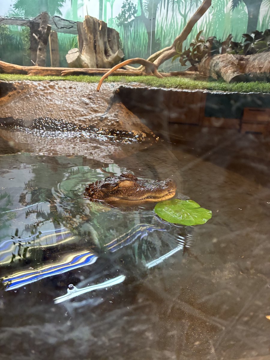 Catawba Science Center tweet media