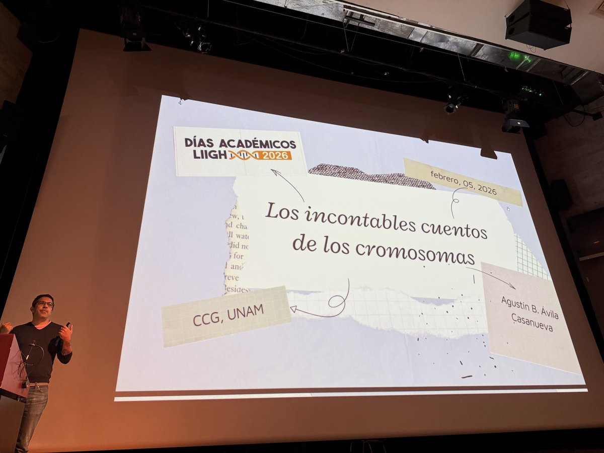 Federico Sanchez Quinto tweet media