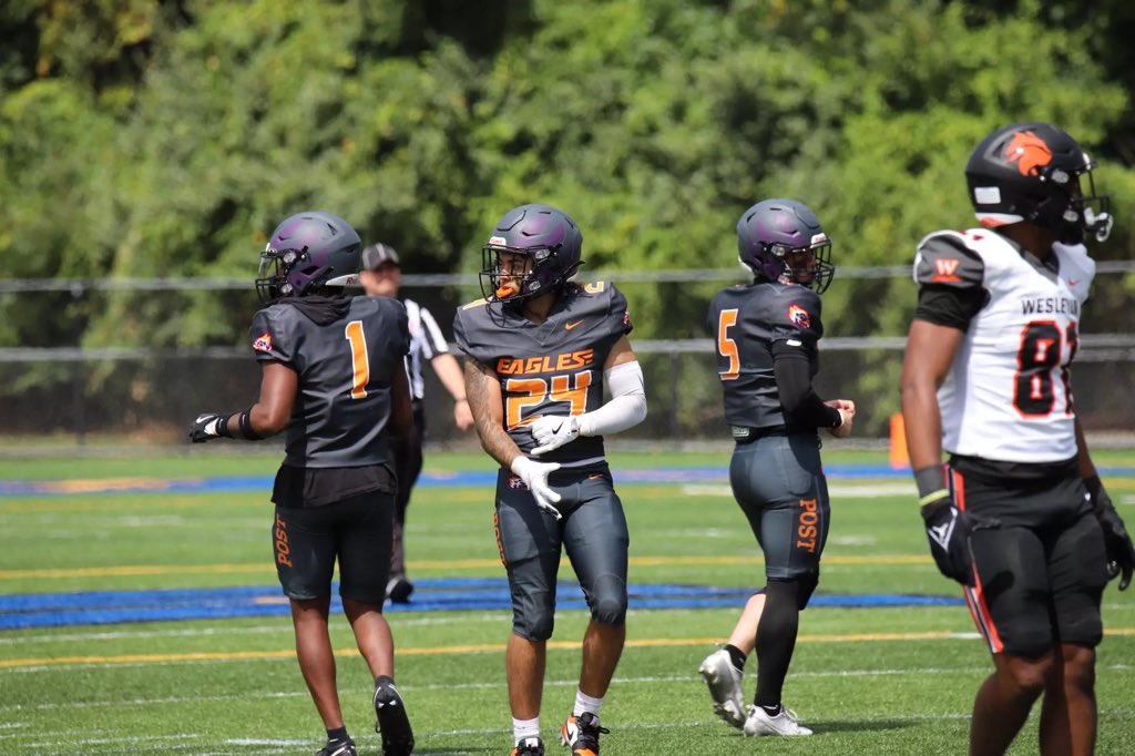 William Mann tweet media