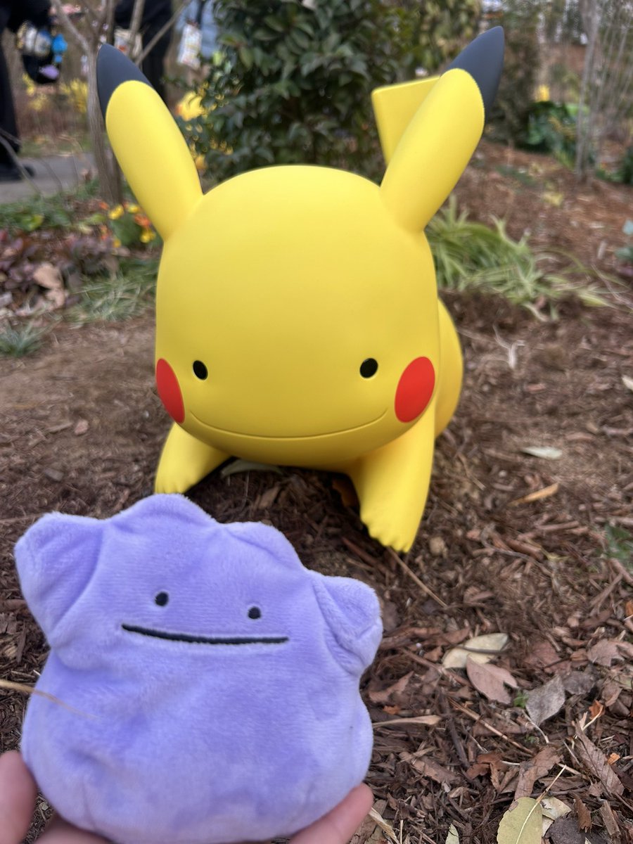 ポケパークカントー メタモン ポケパークカントー！ メタモンと行って