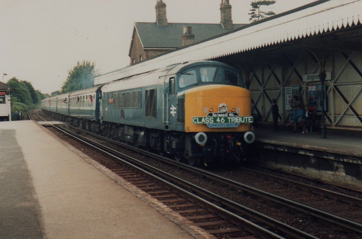 BrianTrains1231's tweet image. Class 46 46206 passes angmering on the class 46 tribute Railtour 17/06/1984
(Picture taken by my Grandad)
#train #class46 #80s #railway #BRLoco
