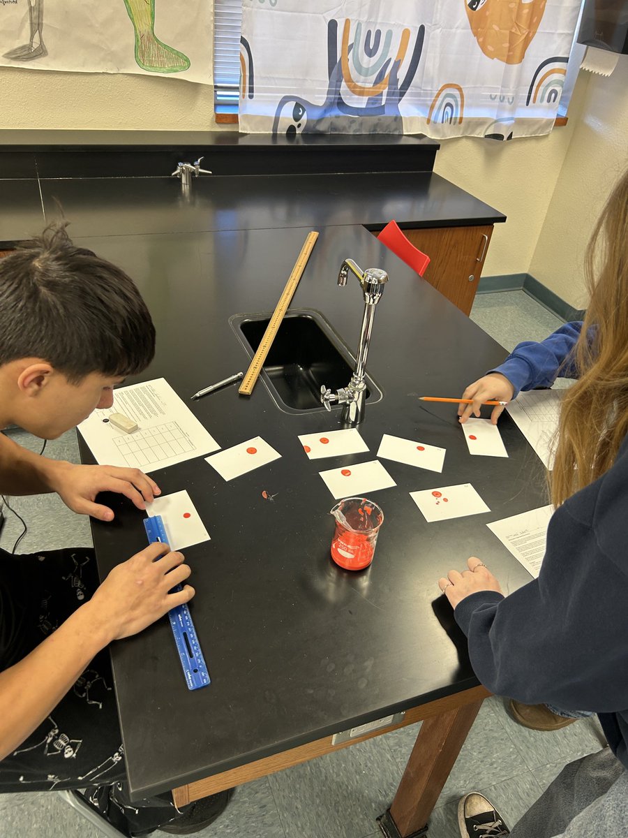 Amanda McCready tweet media