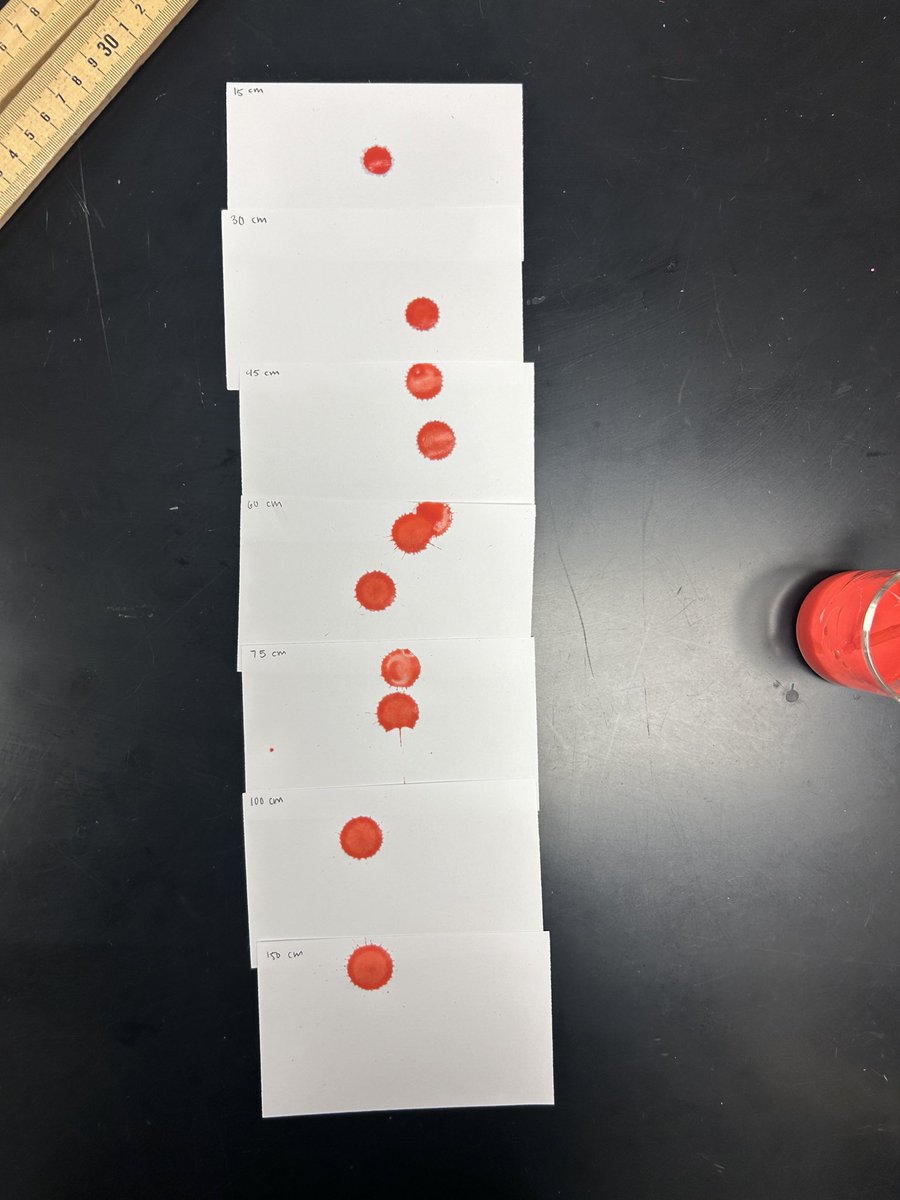 Amanda McCready tweet media