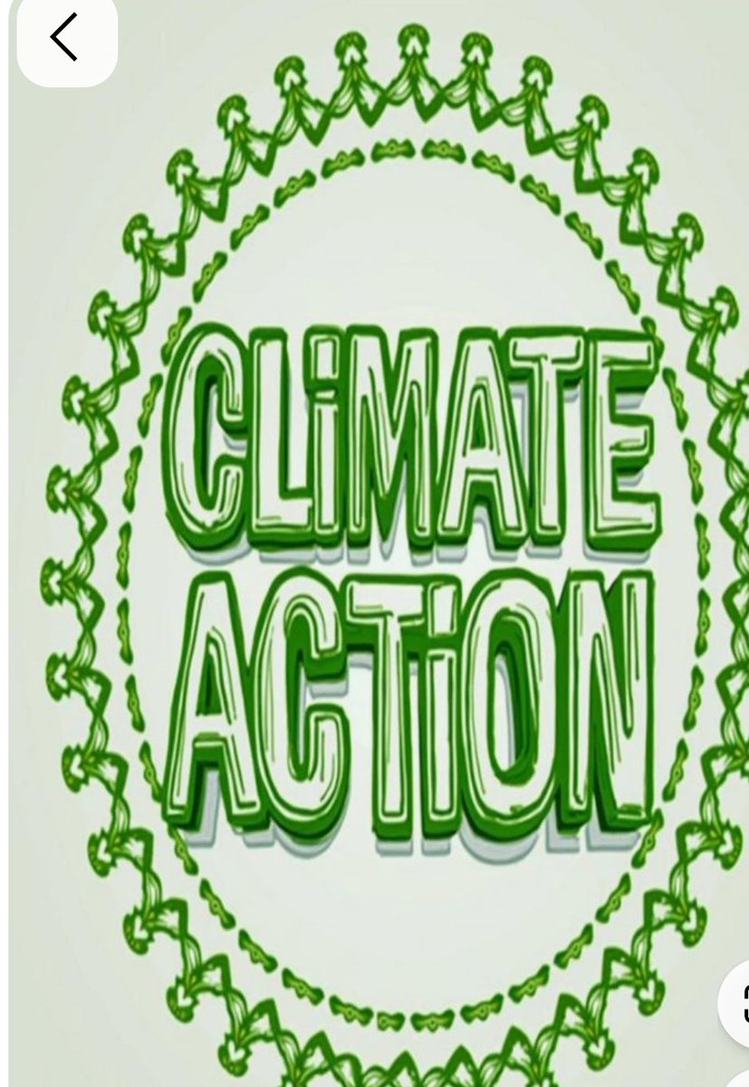 Climate Action Coalition of Zimbabwe tweet media