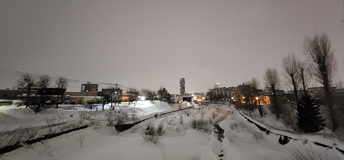 Francesca Sparrowtree tweet media