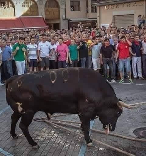 MelaniaFrance's tweet image. Torturer et humilier un animal pour être témoin de sa souffrance est l'une des choses les plus stupides et les plus inhumaines que l'on puisse faire. 
G. Chiacchio