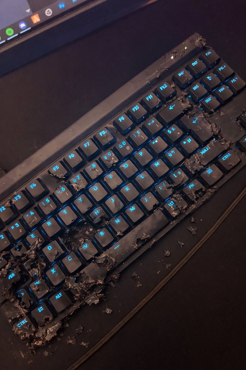 Nikos_v1's tweet image. bon.. j’essaye de pas avoir trop de retard ce soir mais le chien a mangé le clavier