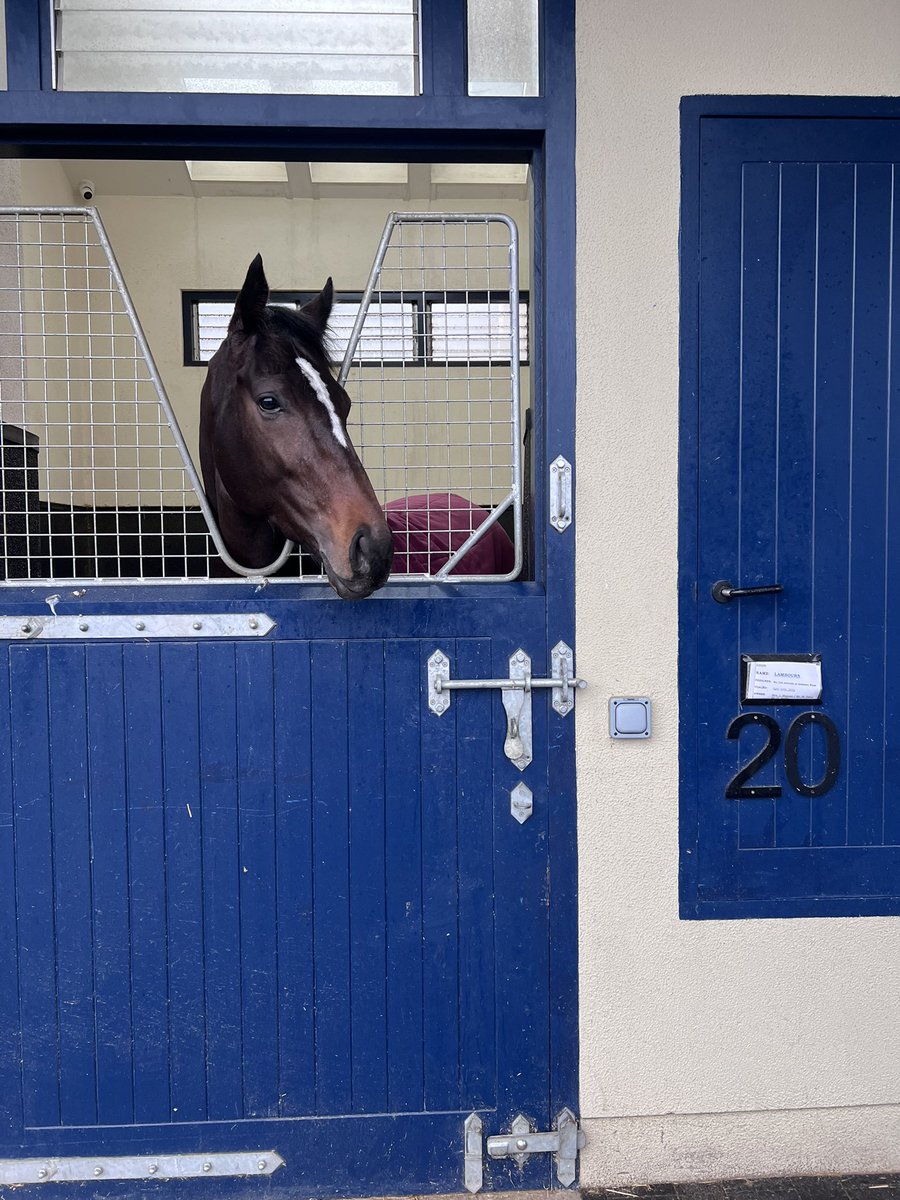 Will Aitkenhead tweet media