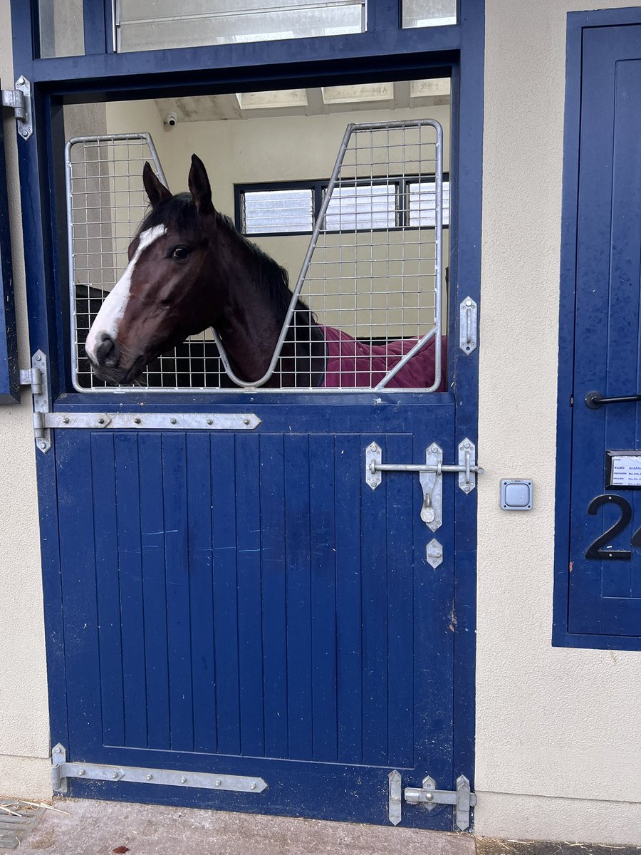 Will Aitkenhead tweet media