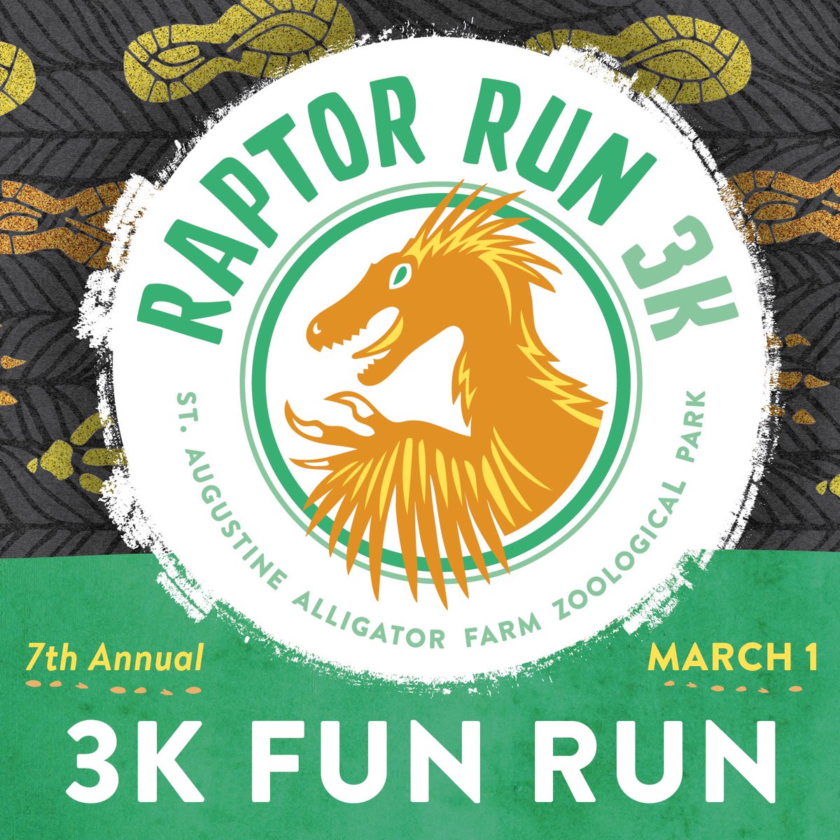 StAugAlligatorFarm tweet media