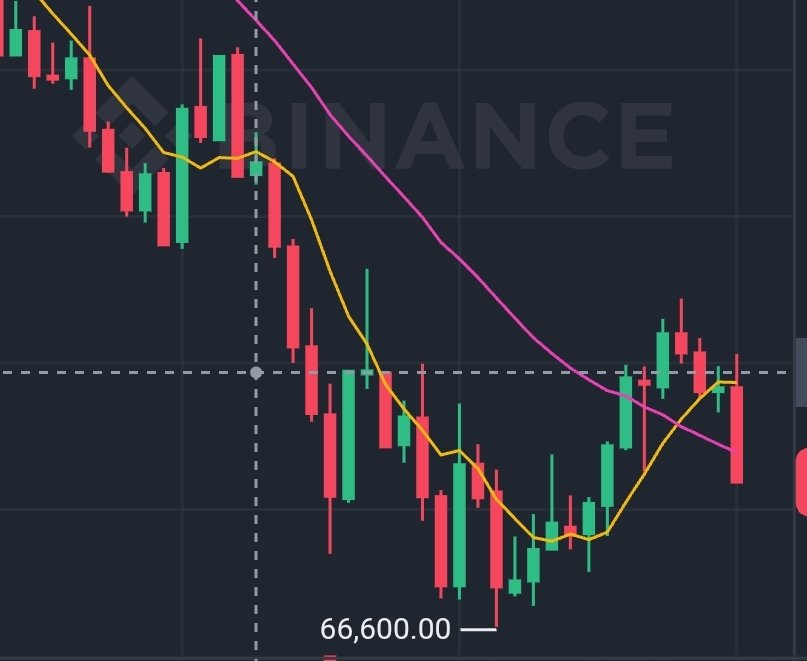 Cryptoteka 🟢 tweet media