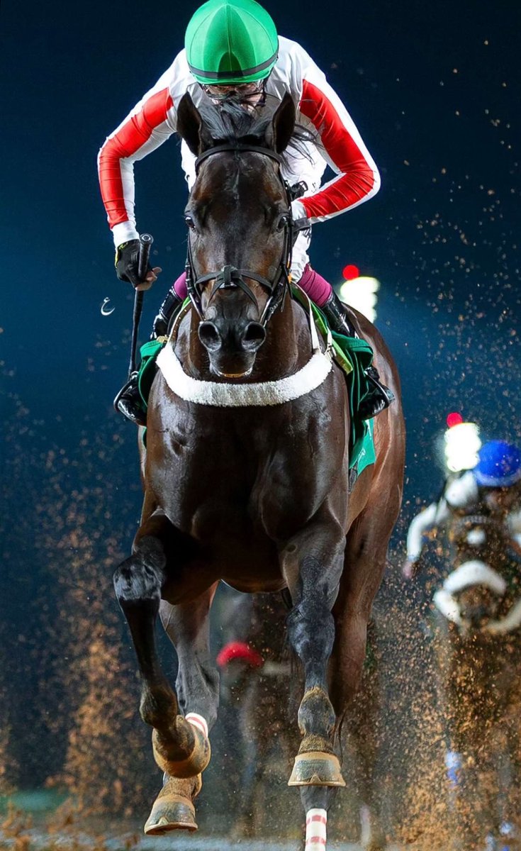 الوجيه tweet media