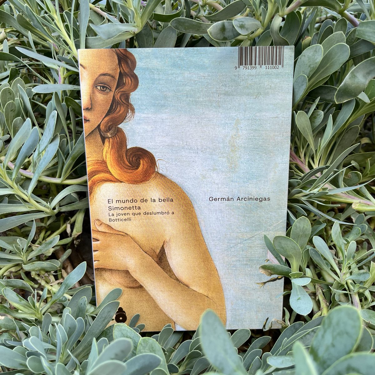 Eduardo Vara tweet media