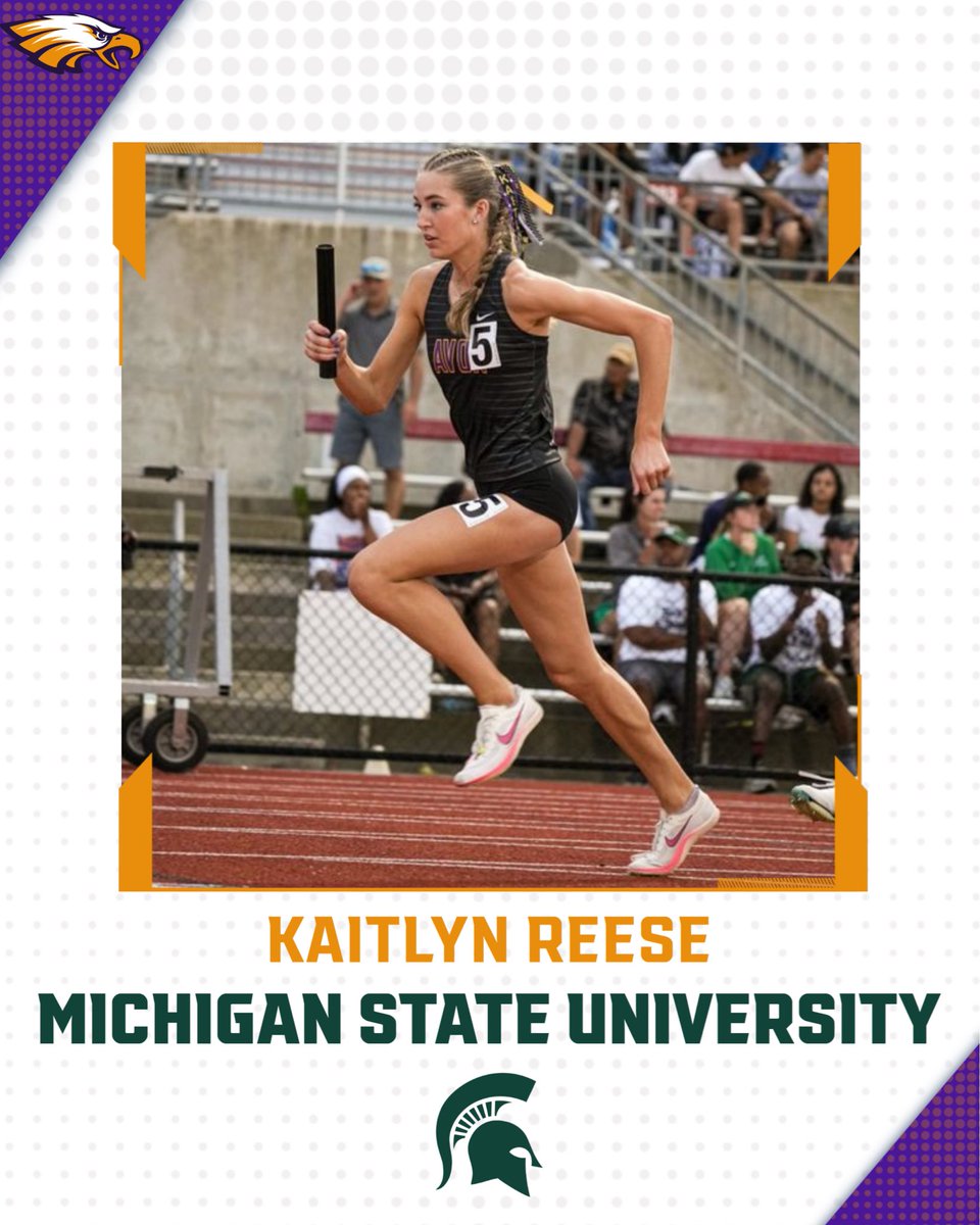 Justin Carroll tweet media