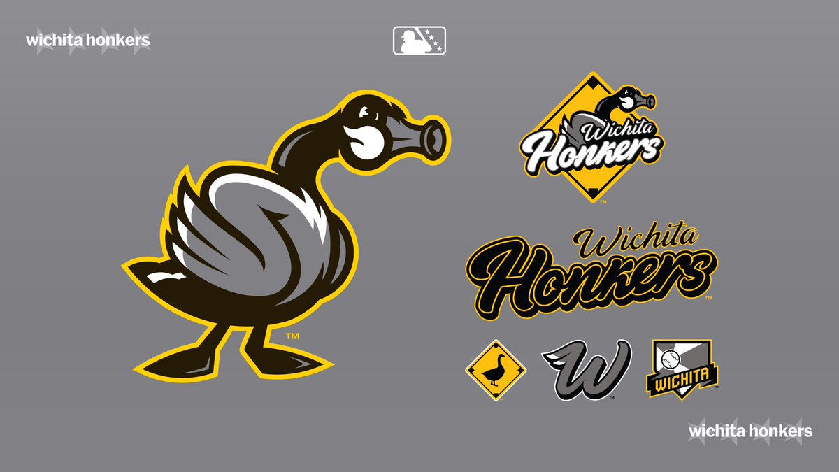 Minor League Baseball tweet media