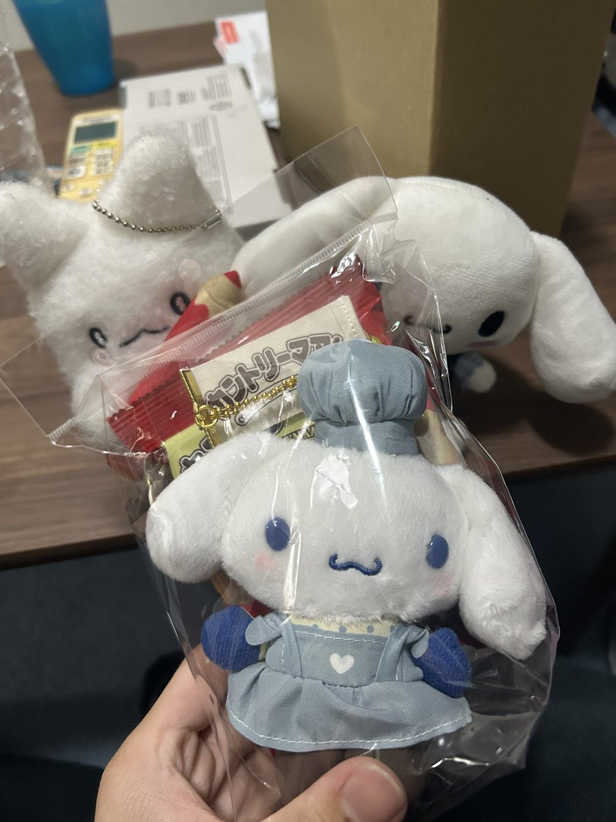 実家から2匹と新キャラを持ってきて寂しくなくなった。時代はサンリオ